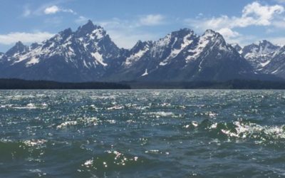 Don Mayer’s Blog, Perfectly Legal but Wrong